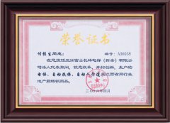 2006年榮譽(yù)證書
